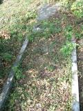 image of grave number 166035